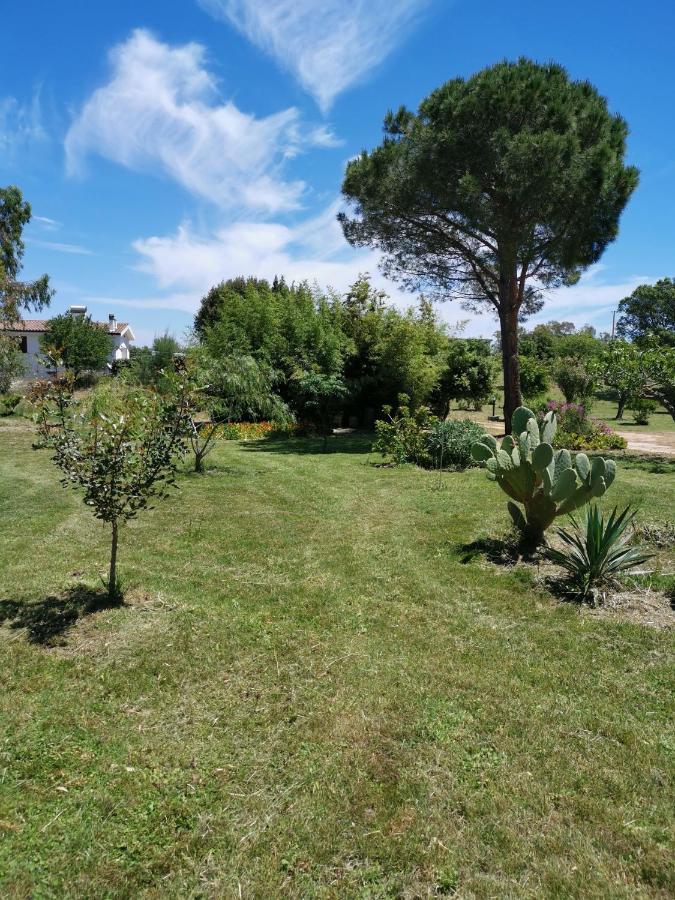 Home Garden Siniscola Kültér fotó