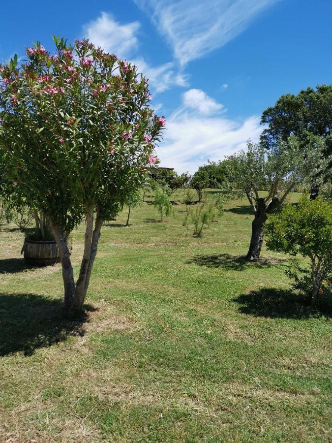 Home Garden Siniscola Kültér fotó