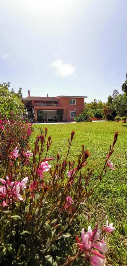 Home Garden Siniscola Kültér fotó